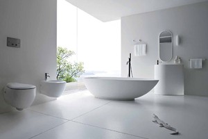 Phong thuỷ: Phòng vệ sinh, lấy hung đè hung